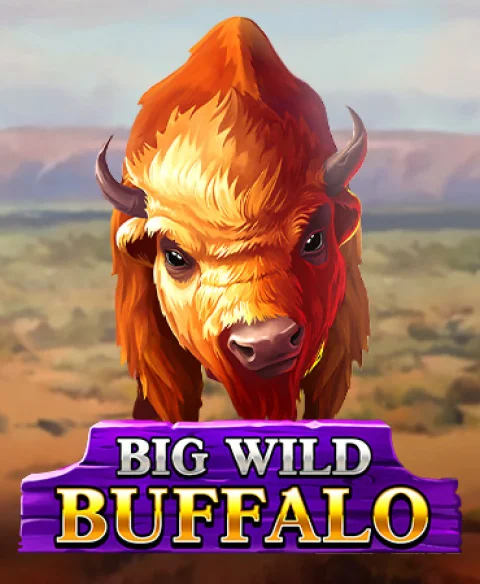 Play Big Wild Buffalo at Play Ojo Casino